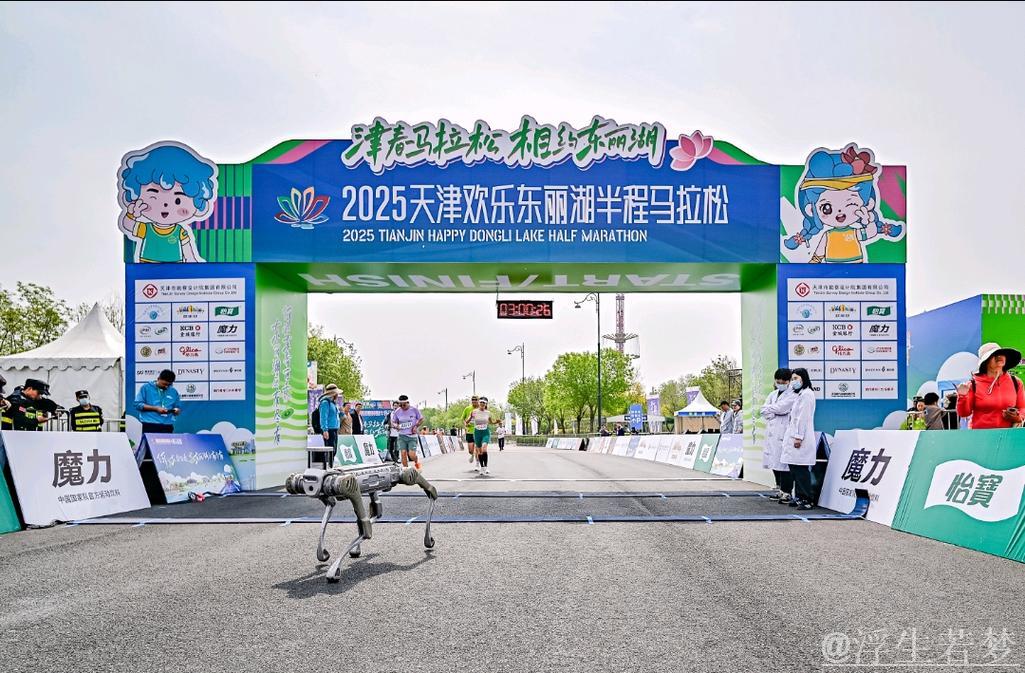 世界杯2026全程直播